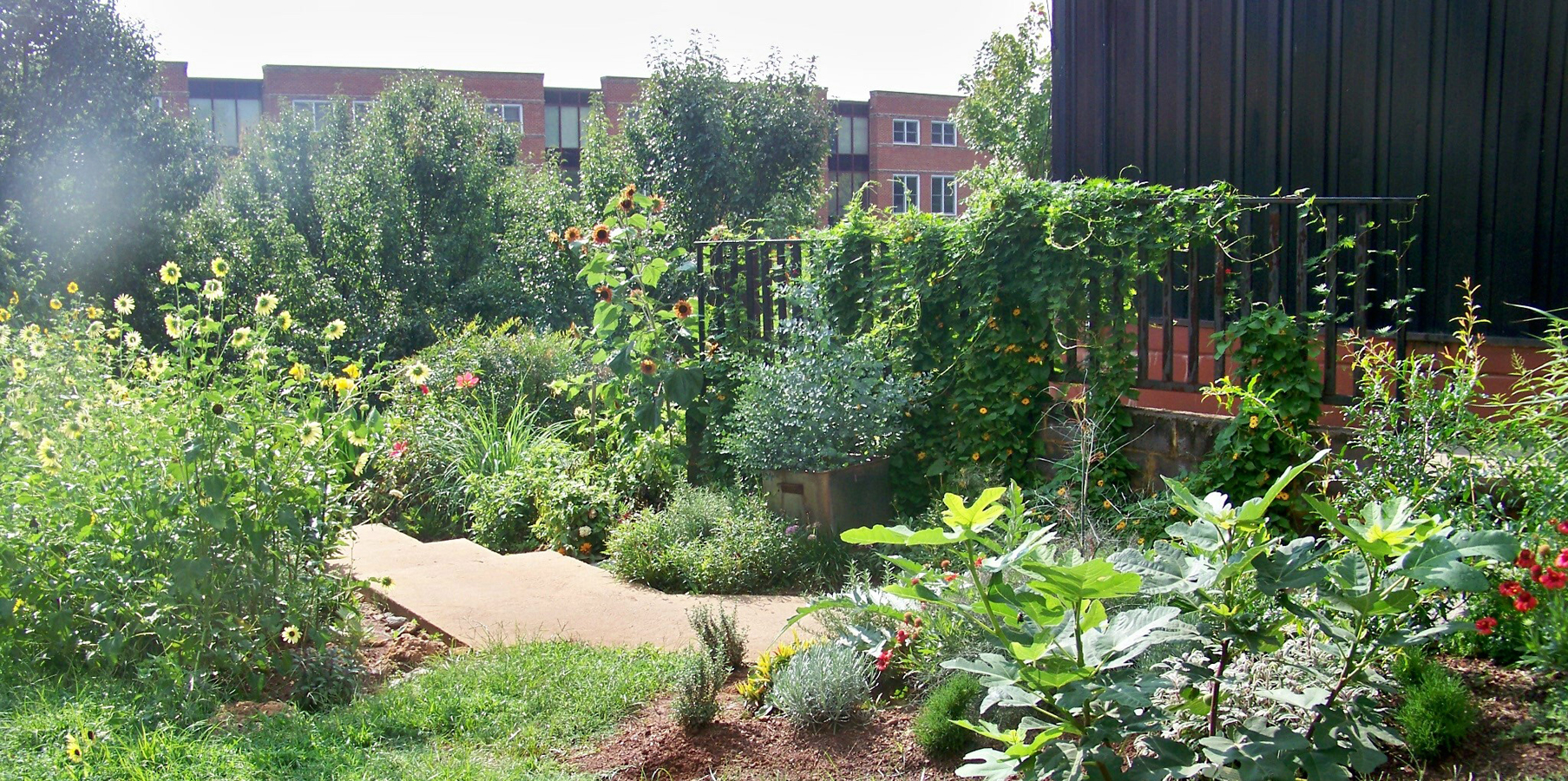 Atmospherics Design 03