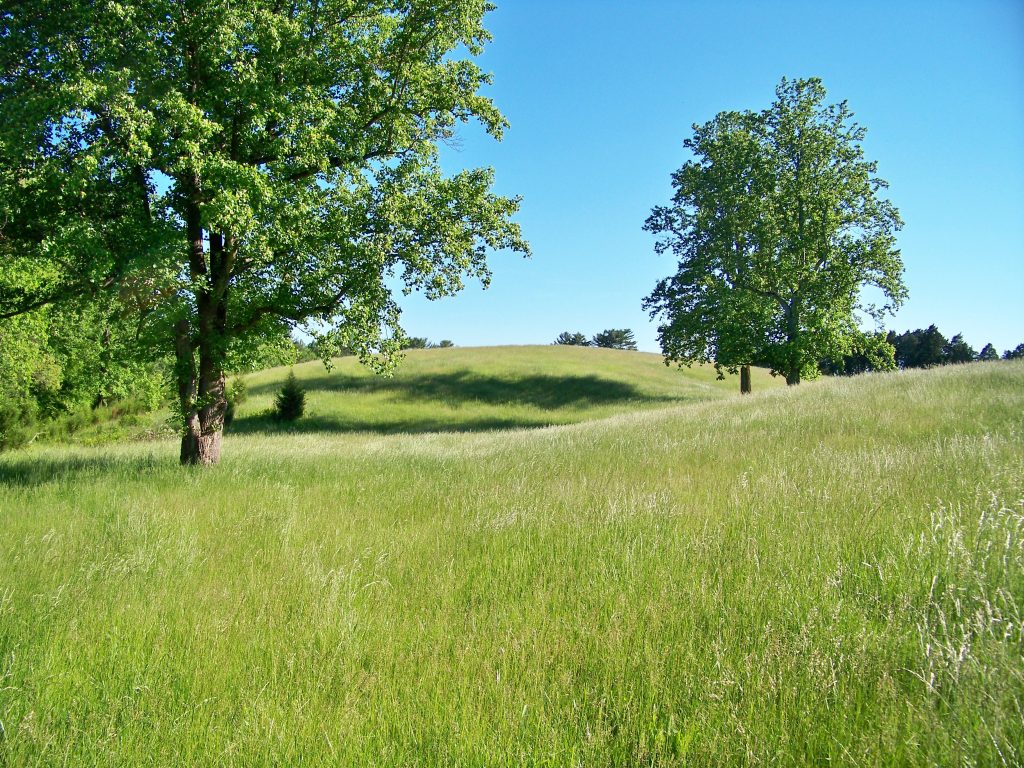 landscape parks, farms