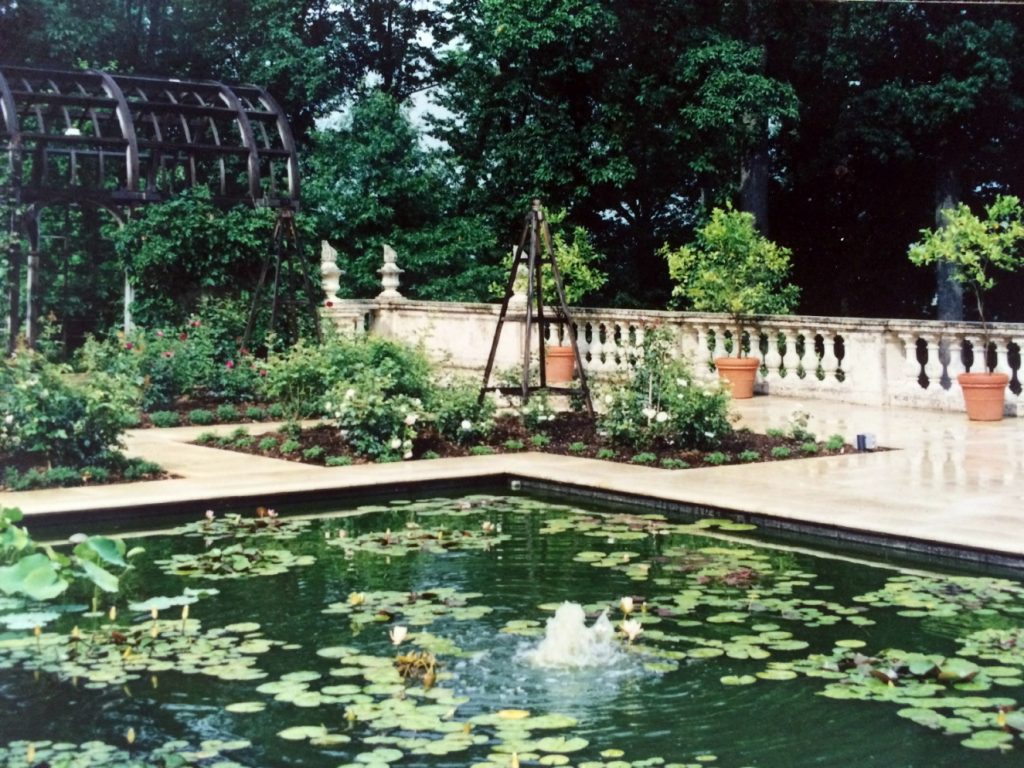 Rooftop Garden Renovation: Citrus, Austin Roses and Water Lilies from Giverny