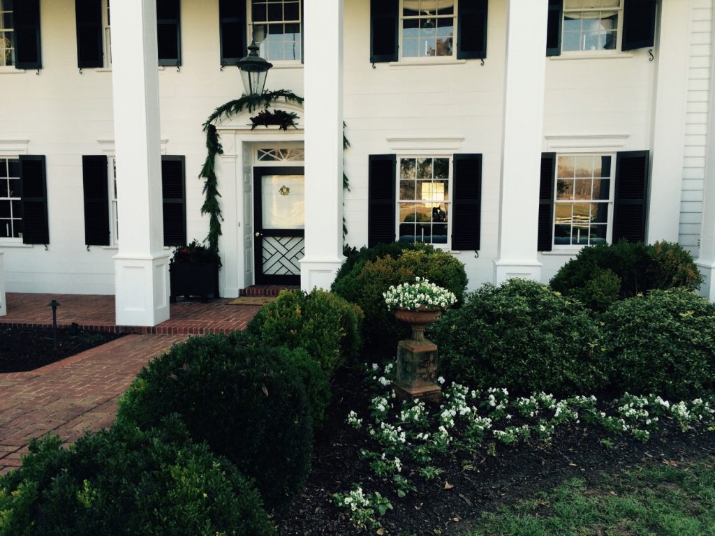 Site-sourced Seasonal and Festive Decorations